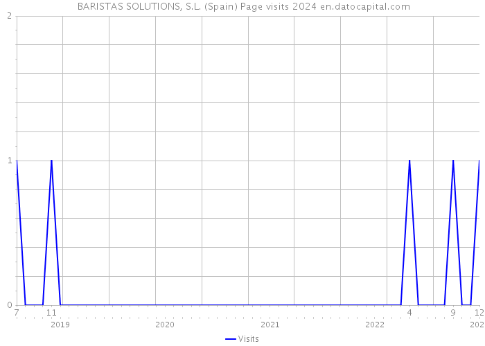  BARISTAS SOLUTIONS, S.L. (Spain) Page visits 2024 