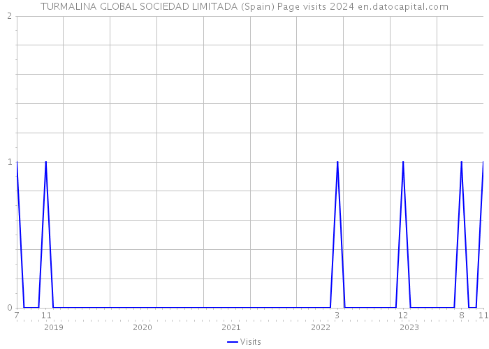 TURMALINA GLOBAL SOCIEDAD LIMITADA (Spain) Page visits 2024 