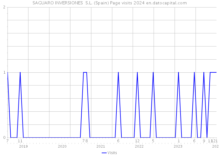 SAGUARO INVERSIONES S.L. (Spain) Page visits 2024 