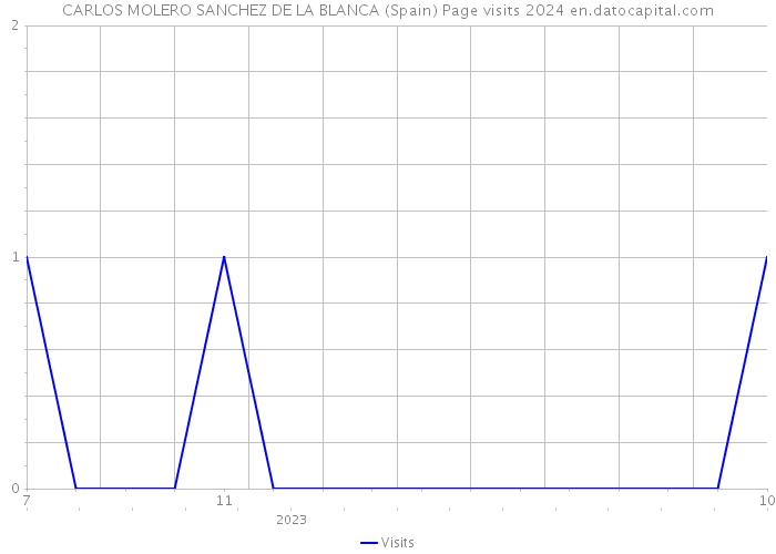 CARLOS MOLERO SANCHEZ DE LA BLANCA (Spain) Page visits 2024 