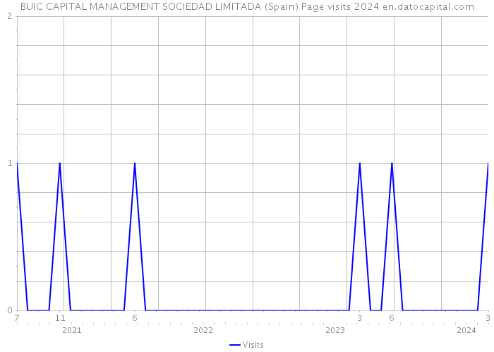 BUIC CAPITAL MANAGEMENT SOCIEDAD LIMITADA (Spain) Page visits 2024 