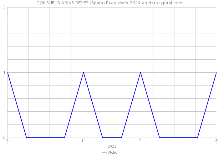 CONSUELO ARIAS REYES (Spain) Page visits 2024 