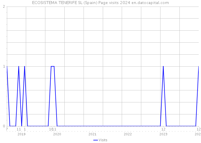 ECOSISTEMA TENERIFE SL (Spain) Page visits 2024 