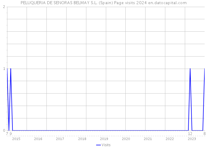 PELUQUERIA DE SENORAS BELMAY S.L. (Spain) Page visits 2024 