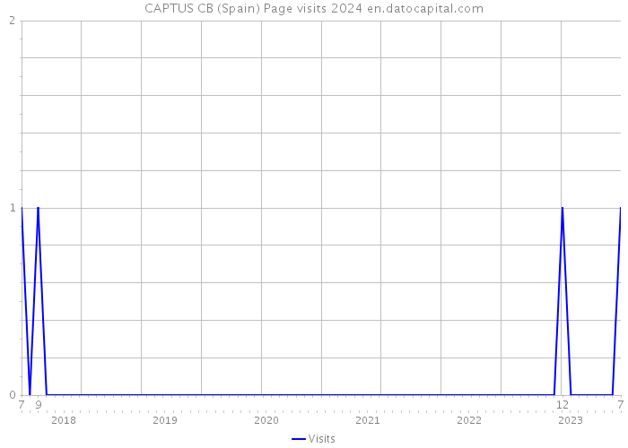 CAPTUS CB (Spain) Page visits 2024 