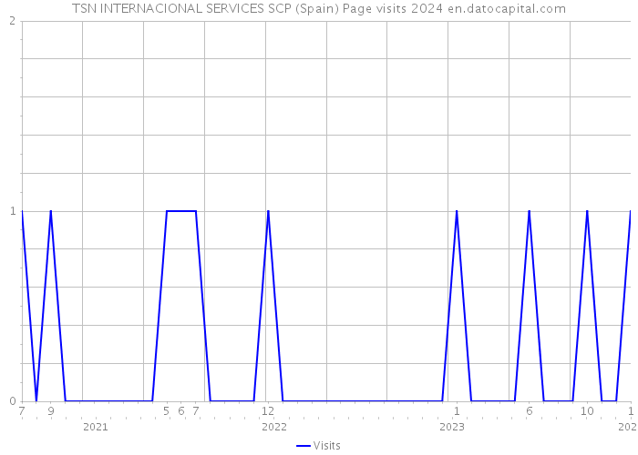 TSN INTERNACIONAL SERVICES SCP (Spain) Page visits 2024 