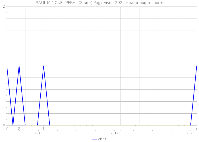 RAUL MINGUEL PERAL (Spain) Page visits 2024 