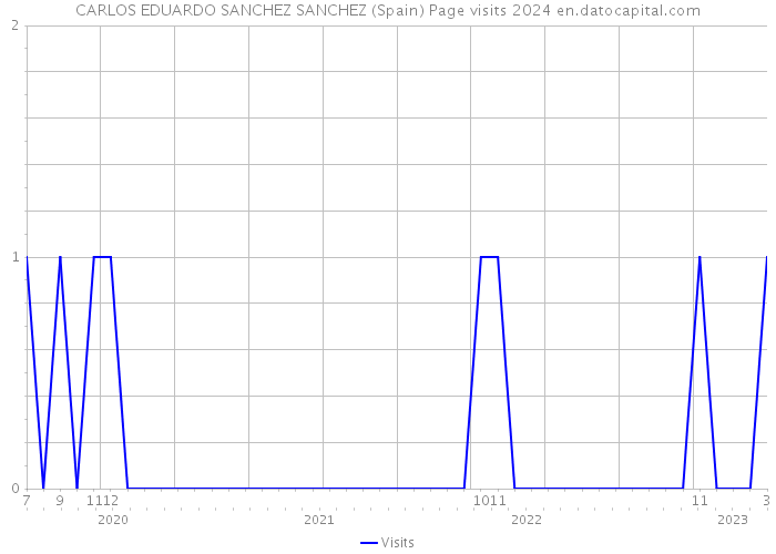 CARLOS EDUARDO SANCHEZ SANCHEZ (Spain) Page visits 2024 