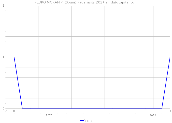 PEDRO MORAN PI (Spain) Page visits 2024 