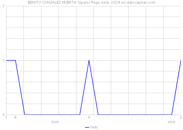 BENITO GONZALEZ HUERTA (Spain) Page visits 2024 