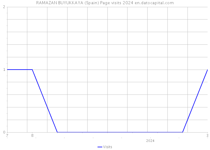 RAMAZAN BUYUKKAYA (Spain) Page visits 2024 