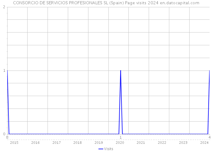 CONSORCIO DE SERVICIOS PROFESIONALES SL (Spain) Page visits 2024 