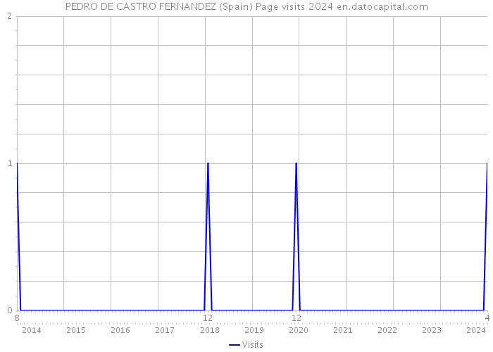 PEDRO DE CASTRO FERNANDEZ (Spain) Page visits 2024 
