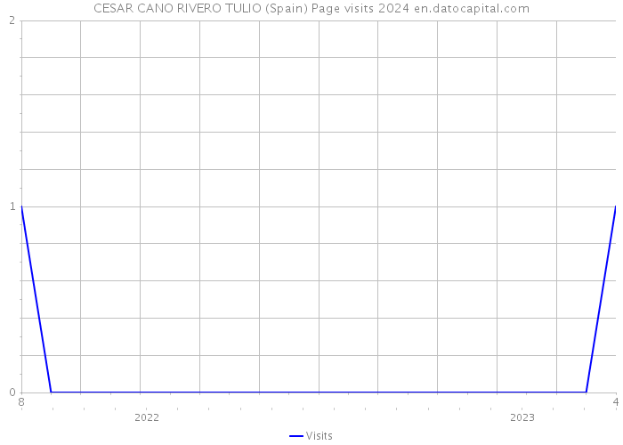 CESAR CANO RIVERO TULIO (Spain) Page visits 2024 