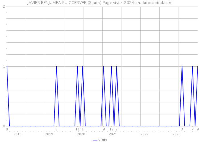 JAVIER BENJUMEA PUIGCERVER (Spain) Page visits 2024 