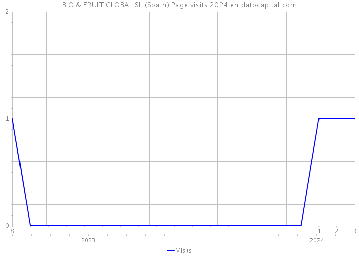 BIO & FRUIT GLOBAL SL (Spain) Page visits 2024 