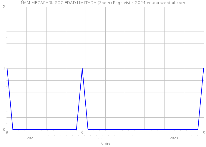 ÑAM MEGAPARK SOCIEDAD LIMITADA (Spain) Page visits 2024 