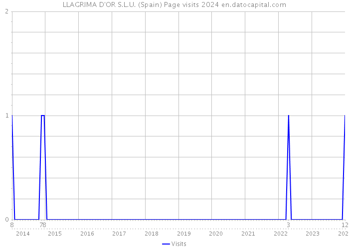 LLAGRIMA D'OR S.L.U. (Spain) Page visits 2024 