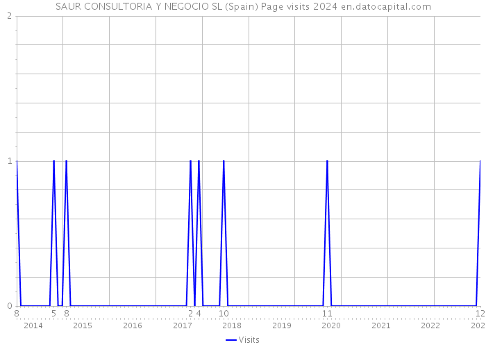 SAUR CONSULTORIA Y NEGOCIO SL (Spain) Page visits 2024 