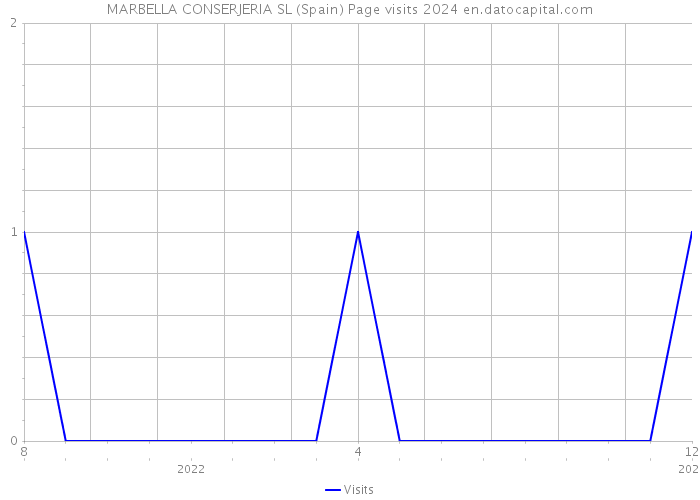 MARBELLA CONSERJERIA SL (Spain) Page visits 2024 