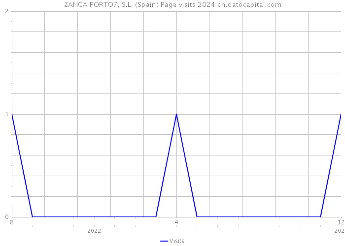 ZANCA PORTO7, S.L. (Spain) Page visits 2024 