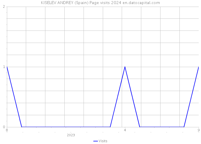 KISELEV ANDREY (Spain) Page visits 2024 