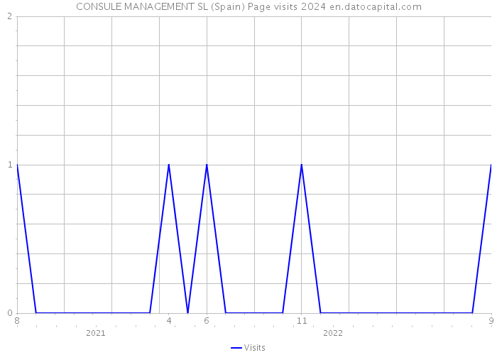 CONSULE MANAGEMENT SL (Spain) Page visits 2024 