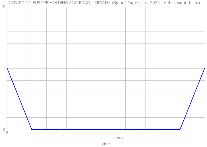 DATAPOINT EUROPE HOLDING SOCIEDAD LIMITADA (Spain) Page visits 2024 