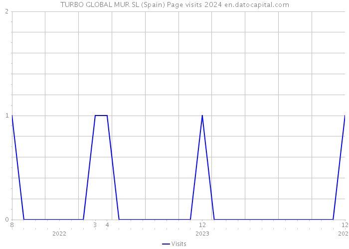TURBO GLOBAL MUR SL (Spain) Page visits 2024 