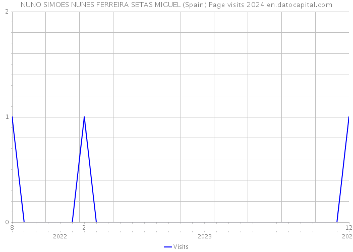 NUNO SIMOES NUNES FERREIRA SETAS MIGUEL (Spain) Page visits 2024 