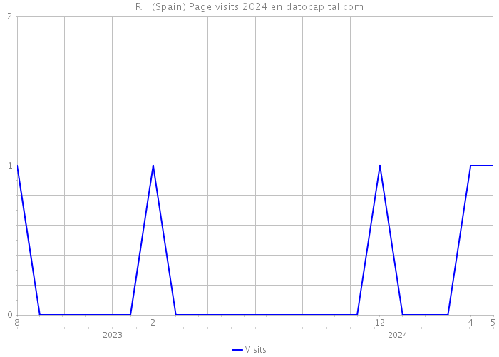 RH (Spain) Page visits 2024 