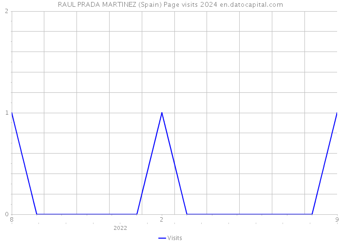 RAUL PRADA MARTINEZ (Spain) Page visits 2024 
