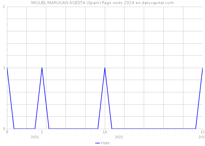 MIGUEL MARUGAN AGESTA (Spain) Page visits 2024 
