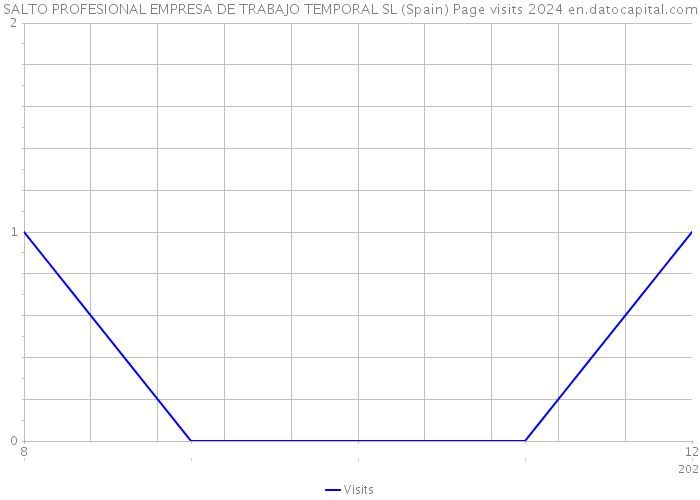SALTO PROFESIONAL EMPRESA DE TRABAJO TEMPORAL SL (Spain) Page visits 2024 