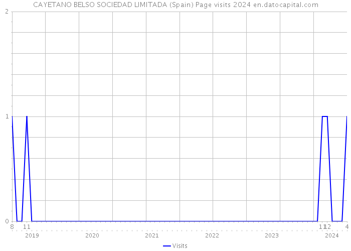 CAYETANO BELSO SOCIEDAD LIMITADA (Spain) Page visits 2024 