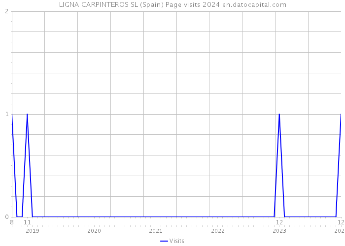 LIGNA CARPINTEROS SL (Spain) Page visits 2024 