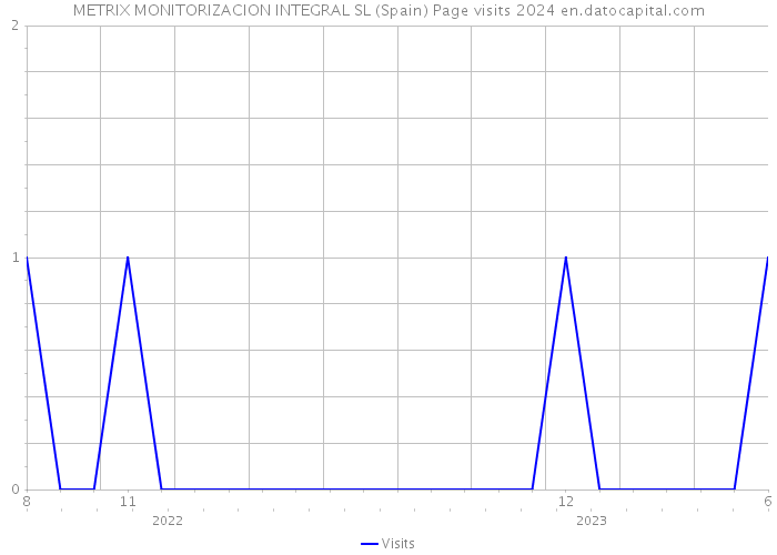 METRIX MONITORIZACION INTEGRAL SL (Spain) Page visits 2024 