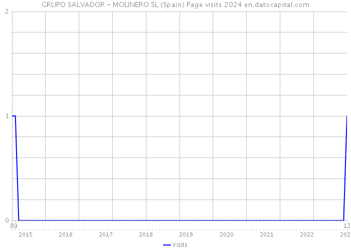 GRUPO SALVADOR - MOLINERO SL (Spain) Page visits 2024 