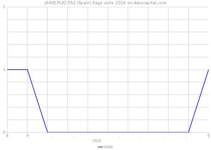 JAIME RUIZ PAZ (Spain) Page visits 2024 