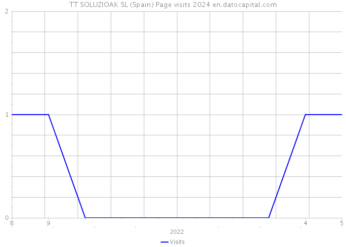 TT SOLUZIOAK SL (Spain) Page visits 2024 