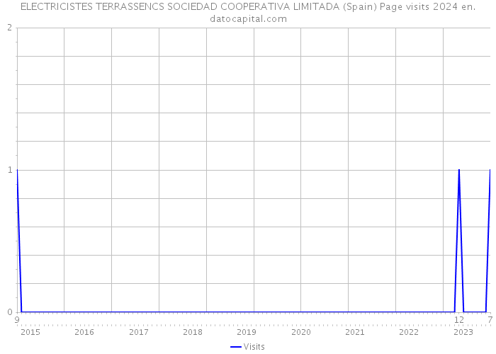 ELECTRICISTES TERRASSENCS SOCIEDAD COOPERATIVA LIMITADA (Spain) Page visits 2024 