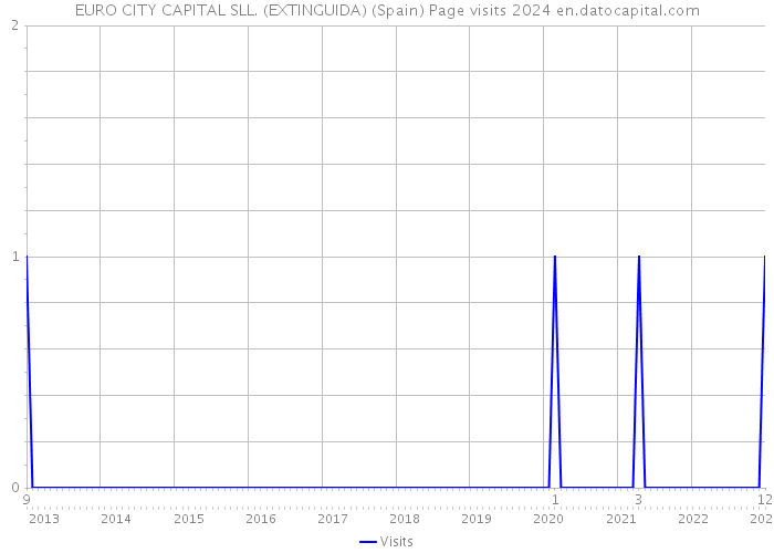 EURO CITY CAPITAL SLL. (EXTINGUIDA) (Spain) Page visits 2024 