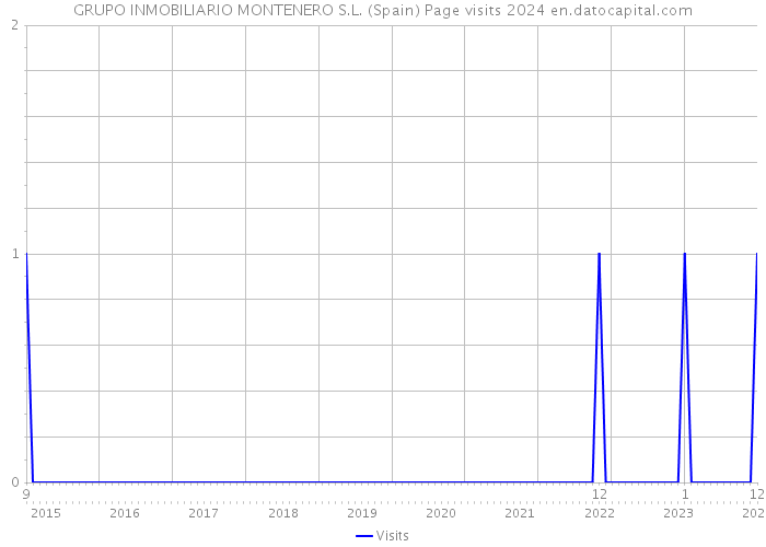 GRUPO INMOBILIARIO MONTENERO S.L. (Spain) Page visits 2024 