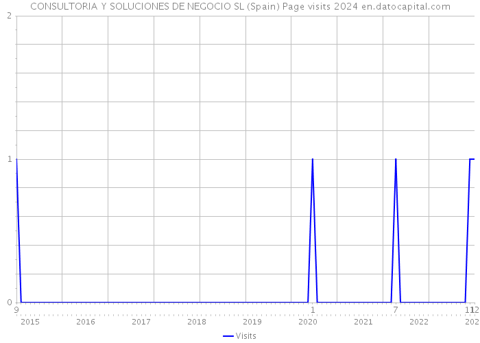 CONSULTORIA Y SOLUCIONES DE NEGOCIO SL (Spain) Page visits 2024 