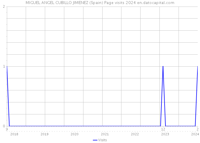 MIGUEL ANGEL CUBILLO JIMENEZ (Spain) Page visits 2024 