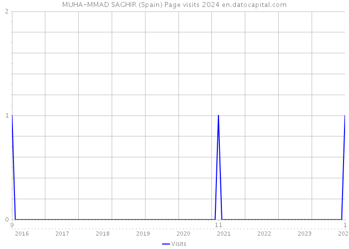 MUHA-MMAD SAGHIR (Spain) Page visits 2024 