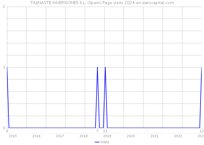 TAJINASTE INVERSIONES S.L. (Spain) Page visits 2024 