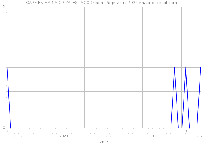 CARMEN MARIA ORIZALES LAGO (Spain) Page visits 2024 