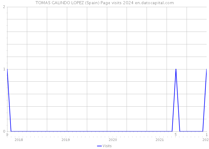 TOMAS GALINDO LOPEZ (Spain) Page visits 2024 