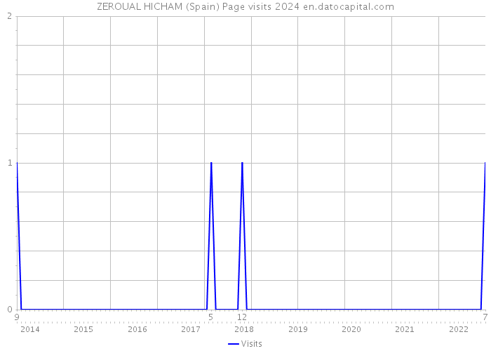 ZEROUAL HICHAM (Spain) Page visits 2024 